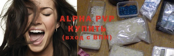 ПСИЛОЦИБИНОВЫЕ ГРИБЫ Пересвет