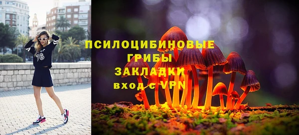 прущая мука Алексин