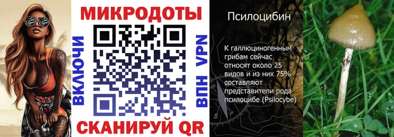 Псилоцибиновые грибы Psilocybe  Невьянск 